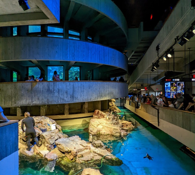New England Aquarium (Boston,&nbspMA)